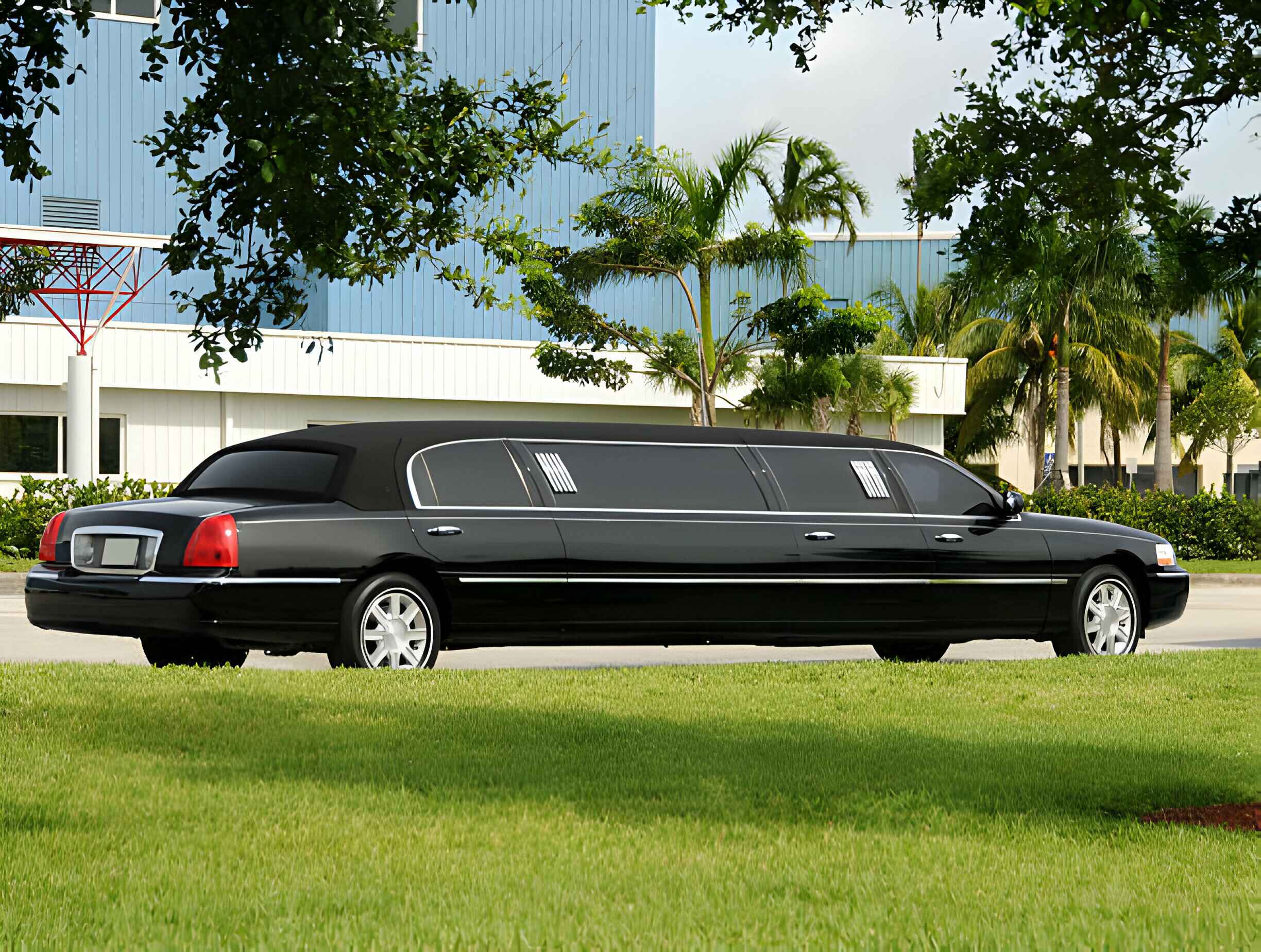 Elevate Your Special Occasion with Chicago Limo Services